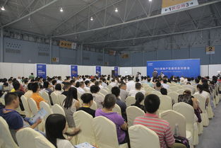 2016成都建博會 現(xiàn)場亮點紛呈，6月將上演重頭戲